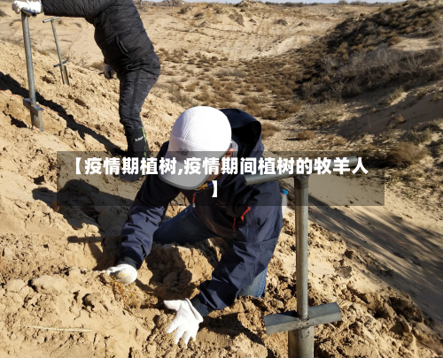 【疫情期植树,疫情期间植树的牧羊人】-第3张图片