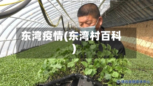 东湾疫情(东湾村百科)