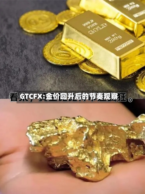 GTCFX:金价回升后的节奏观察