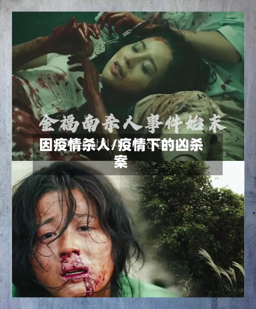 因疫情杀人/疫情下的凶杀案-第2张图片
