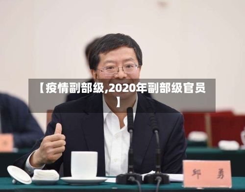 【疫情副部级,2020年副部级官员】-第2张图片