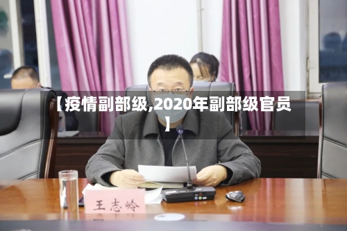 【疫情副部级,2020年副部级官员】