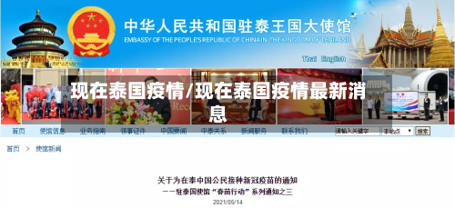 现在泰国疫情/现在泰国疫情最新消息-第2张图片