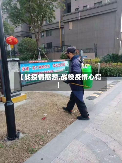【战疫情感想,战役疫情心得】-第2张图片