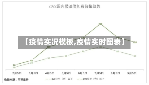 【疫情实况模板,疫情实时图表】-第3张图片