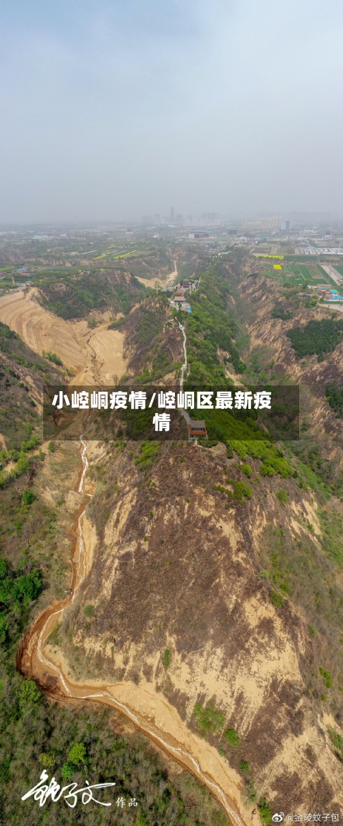 小崆峒疫情/崆峒区最新疫情