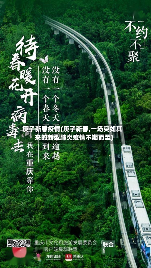 庚子新春疫情(庚子新春,一场突如其来的新型肺炎疫情不期而至)