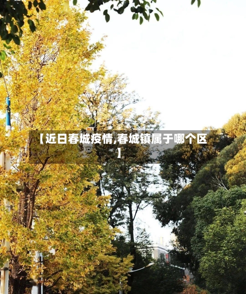 【近日春城疫情,春城镇属于哪个区】-第3张图片