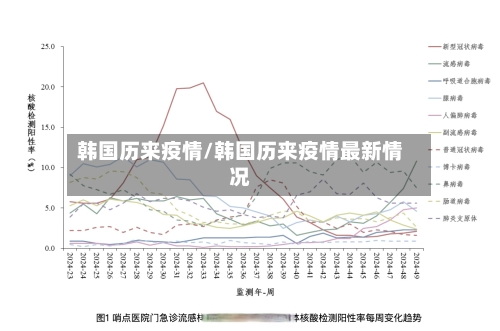 韩国历来疫情/韩国历来疫情最新情况-第2张图片