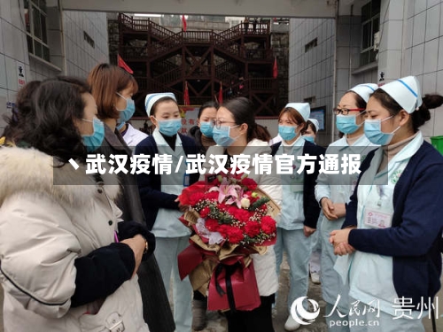 丶武汉疫情/武汉疫情官方通报