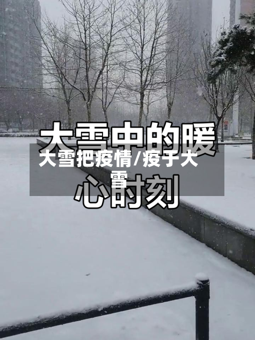 大雪把疫情/疫于大雪-第2张图片