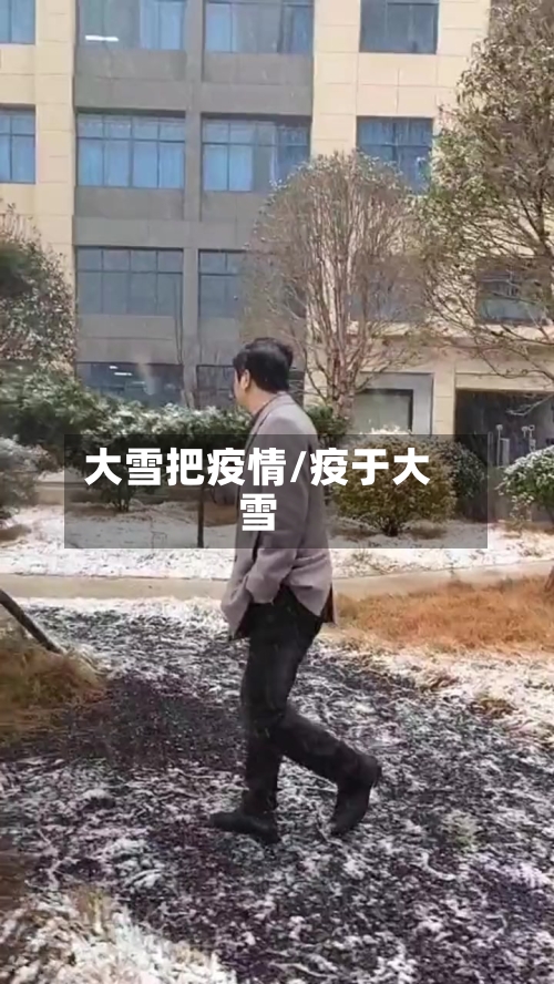大雪把疫情/疫于大雪-第3张图片