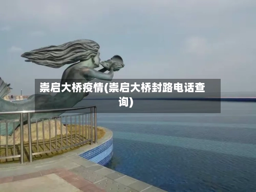崇启大桥疫情(崇启大桥封路电话查询)