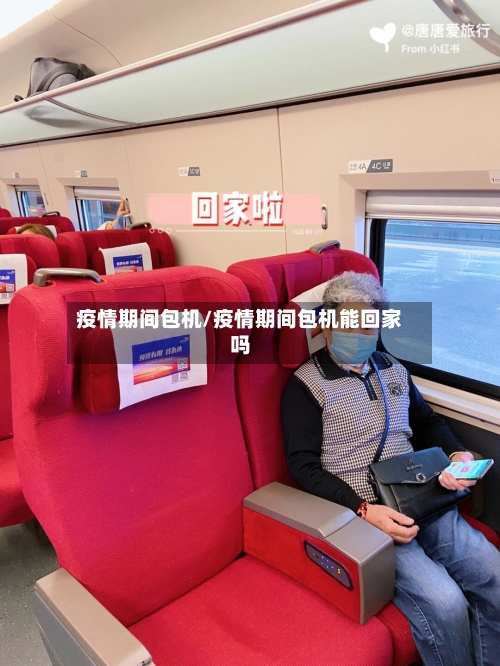 疫情期间包机/疫情期间包机能回家吗