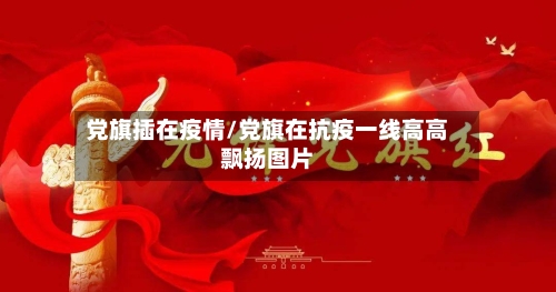 党旗插在疫情/党旗在抗疫一线高高飘扬图片-第2张图片