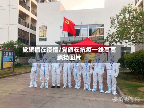 党旗插在疫情/党旗在抗疫一线高高飘扬图片