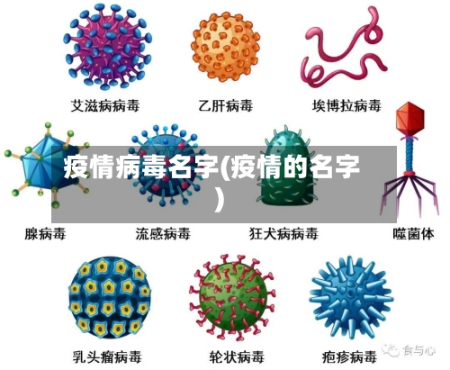 疫情病毒名字(疫情的名字)-第3张图片