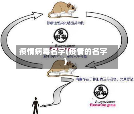 疫情病毒名字(疫情的名字)