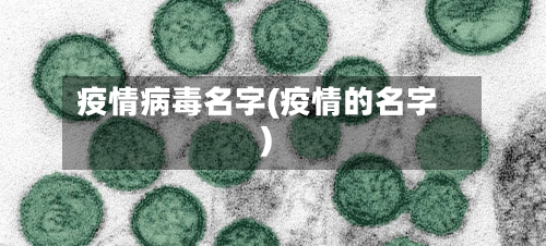 疫情病毒名字(疫情的名字)-第2张图片