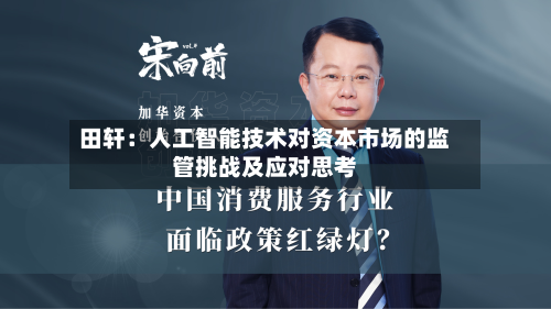 田轩：人工智能技术对资本市场的监管挑战及应对思考