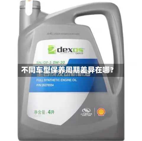 不同车型保养周期差异在哪？-第3张图片