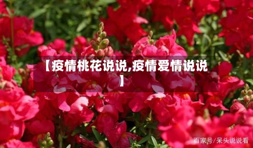 【疫情桃花说说,疫情爱情说说】