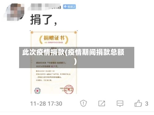 此次疫情捐款(疫情期间捐款总额)