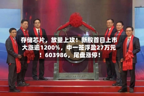 存储芯片，放量上攻！新股首日上市大涨逾1200%，中一签浮盈27万元！603986	，尾盘涨停！-第2张图片