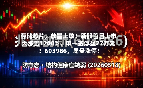 存储芯片，放量上攻！新股首日上市大涨逾1200%，中一签浮盈27万元！603986，尾盘涨停！