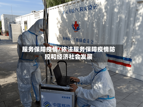 服务保障疫情/依法服务保障疫情防控和经济社会发展
