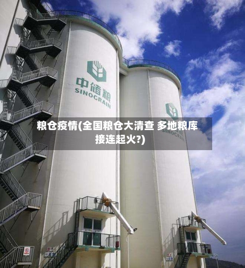 粮仓疫情(全国粮仓大清查 多地粮库接连起火?)-第2张图片