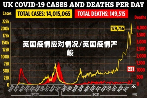 英国疫情应对情况/英国疫情严峻