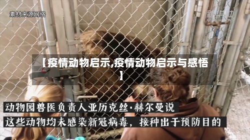 【疫情动物启示,疫情动物启示与感悟】-第2张图片