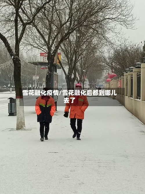 雪花融化疫情/雪花融化后都到哪儿去了