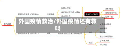 外国疫情救治/外国疫情还有救吗