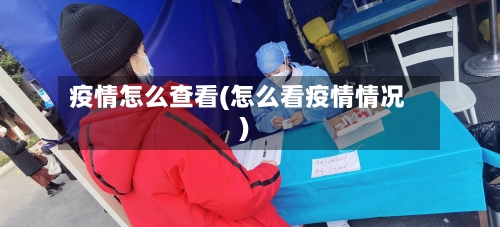 疫情怎么查看(怎么看疫情情况)