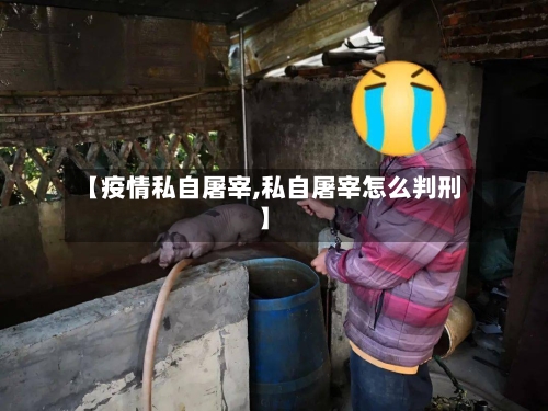 【疫情私自屠宰,私自屠宰怎么判刑】