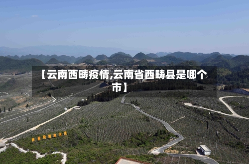 【云南西畴疫情,云南省西畴县是哪个市】