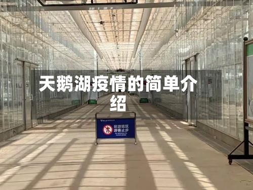 天鹅湖疫情的简单介绍