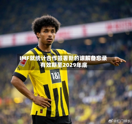 IMF就统计合作签署新的谅解备忘录 有效期至2029年底-第3张图片