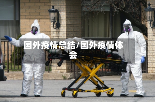 国外疫情总结/国外疫情体会