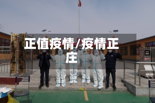 正值疫情/疫情正庄-第2张图片