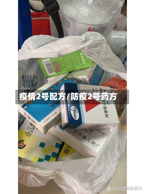 疫情2号配方/防疫2号药方