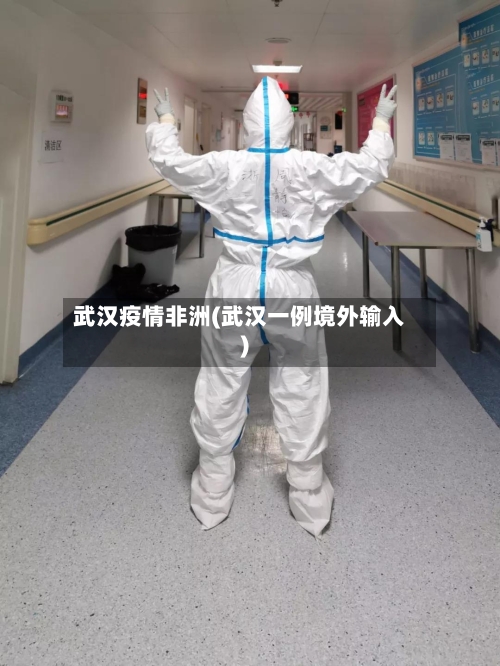 武汉疫情非洲(武汉一例境外输入)