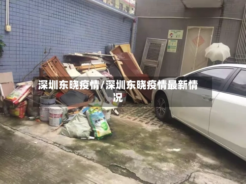 深圳东晓疫情/深圳东晓疫情最新情况