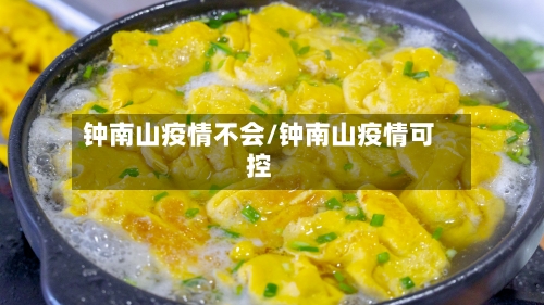钟南山疫情不会/钟南山疫情可控