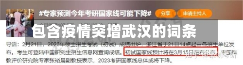 包含疫情突增武汉的词条