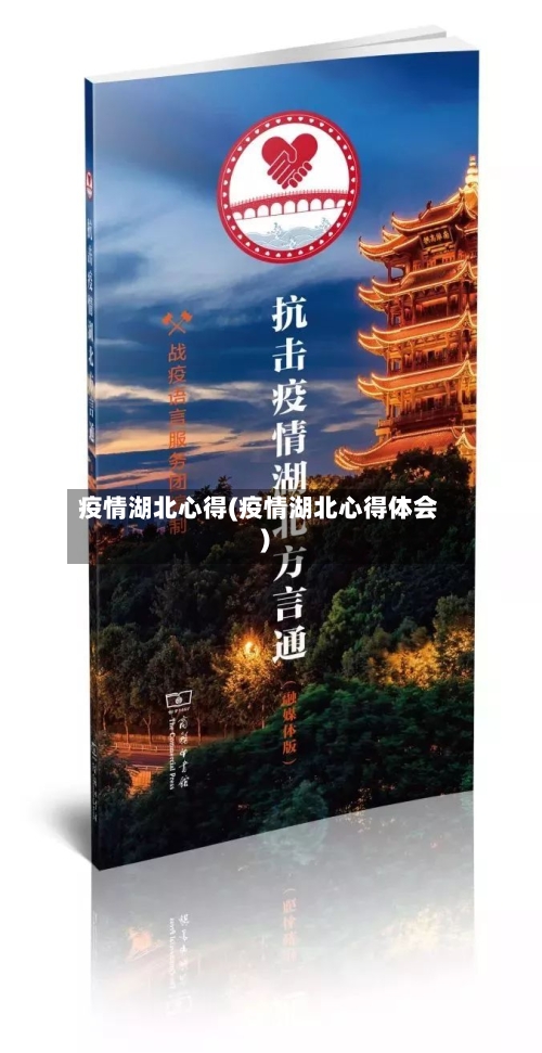 疫情湖北心得(疫情湖北心得体会)-第2张图片