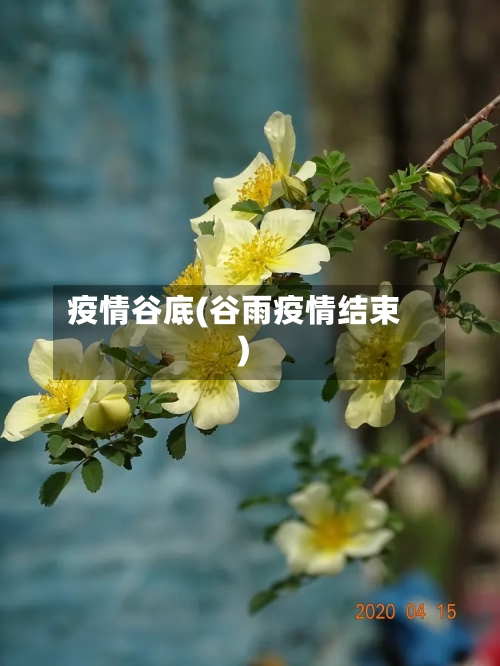 疫情谷底(谷雨疫情结束)-第2张图片