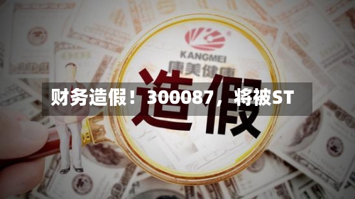 财务造假！300087，将被ST-第3张图片